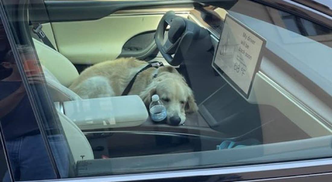 Tesla Dog Mode video