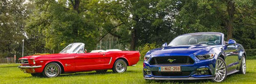 Ballerine mustang sale